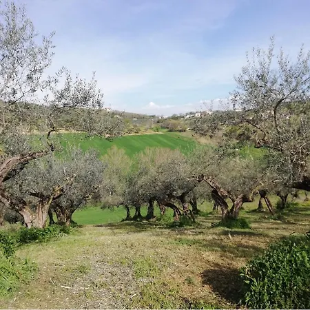 Antico Frantoio - * Pianella (Pescara)