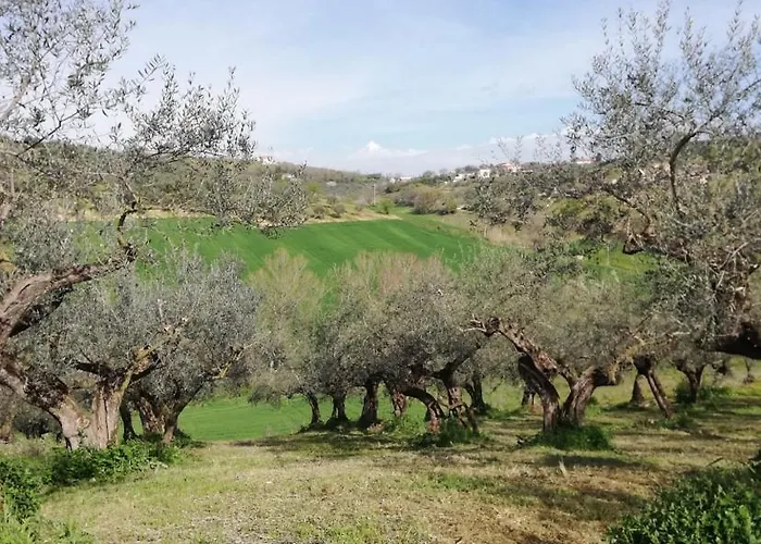Antico Frantoio - * Pianella (Pescara)